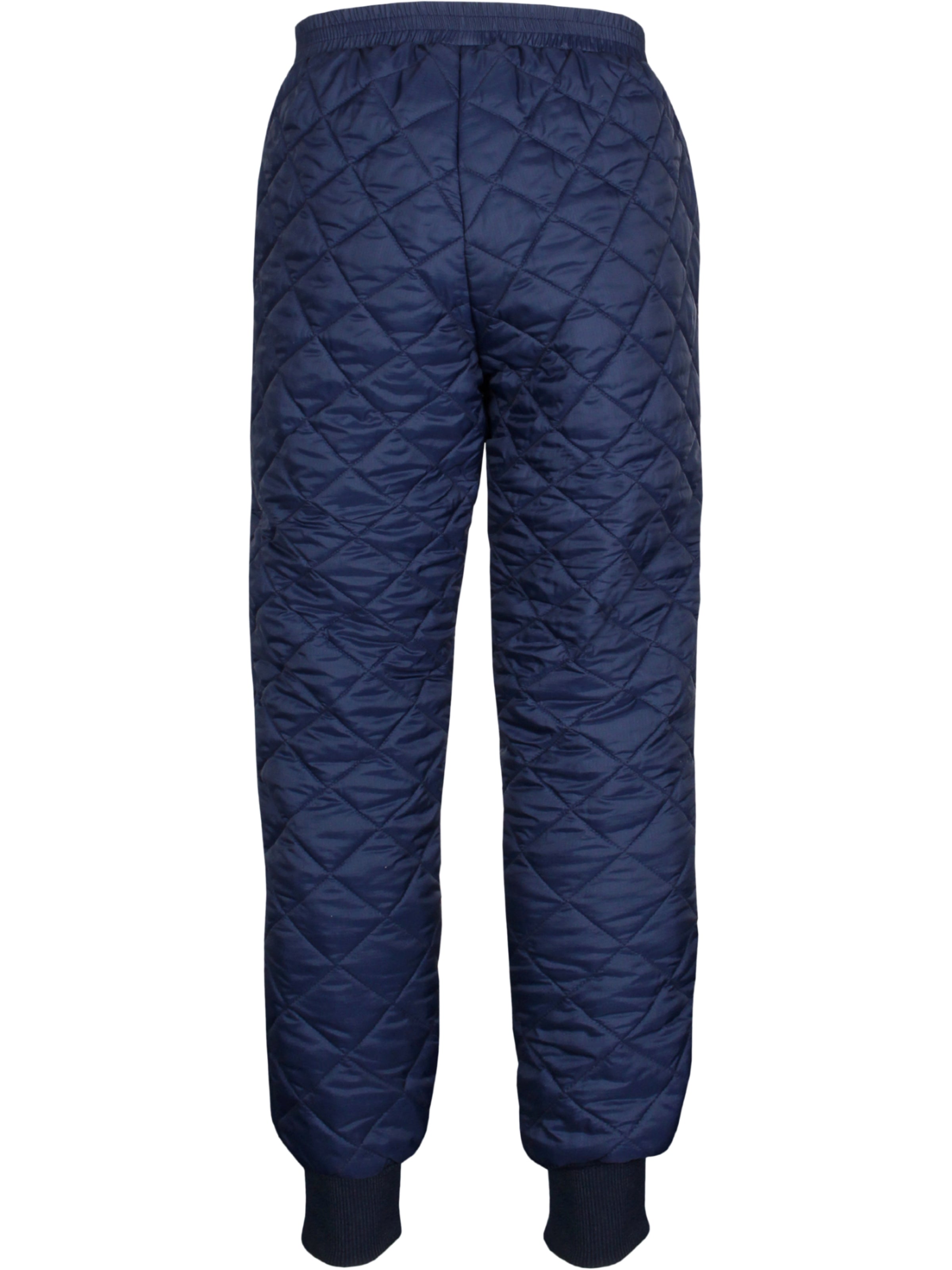 Herrrenhose Kälteschutz TEMPEX® THERMO Dunkelblau Rückansicht